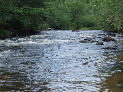 Little Joe rapids