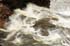 0906_River15_LR