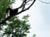 0906_Eagle_LR