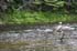 0906_TroutFishing_LR