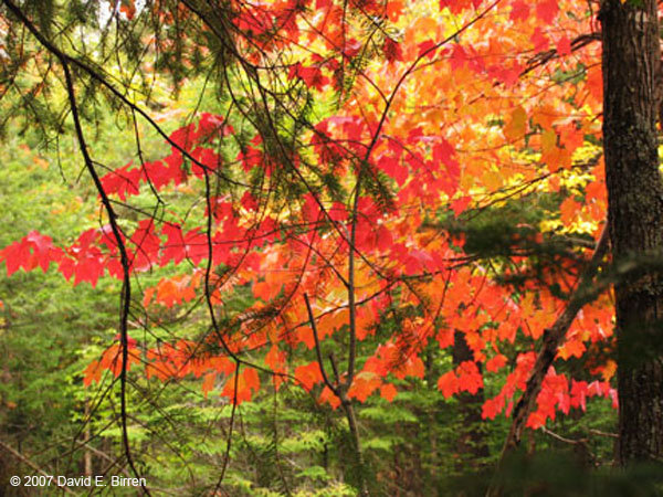 0709_BondFalls10_LR