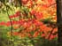0709_BondFalls10_LR