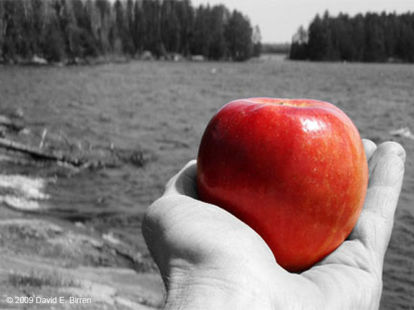 0905_Apple_LR