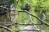 0608_PaulaMecan_LR