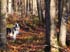 0710_CodaWoods_LR