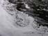 0710_LittleFallsEddy4_LR