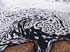 0710_LittleFallsEddy6_LR