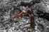 0905_TricycleBW_LR