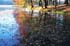 0110_JordanPond2_LR