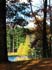 0410_HartmanCr01_LR