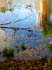 0410_HartmanCr02_LR