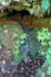 0504_BendTinyWaterfall_LR