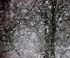 0802_StormSnow_LR