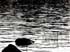 0808_BWCA-Agnes1_LR