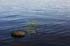 0808_BWCA-Agnes3_LR