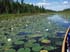 0808_BWCA-GebeCr_LR