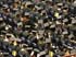 0905_BassClefGrad_LR