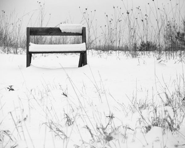 0702_IATBench_LR