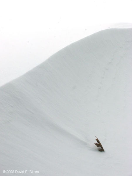0802_StormDrift_LR
