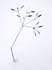 0802_IATSeeds_LR